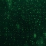 tech_hintergrund_1772x229.png
