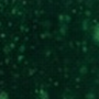 tech_hintergrund_2418x185.png