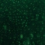 tech_hintergrund_1920x229.png